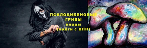 ешки Ельня