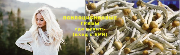 mdma Елабуга