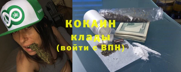 ешки Ельня