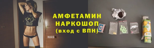 ешки Ельня