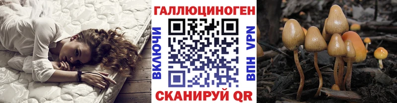 Псилоцибиновые грибы GOLDEN TEACHER  Купить  Рязань 